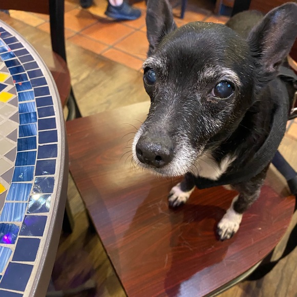 Meet your Posher, Krystle - Picture 11 of 16